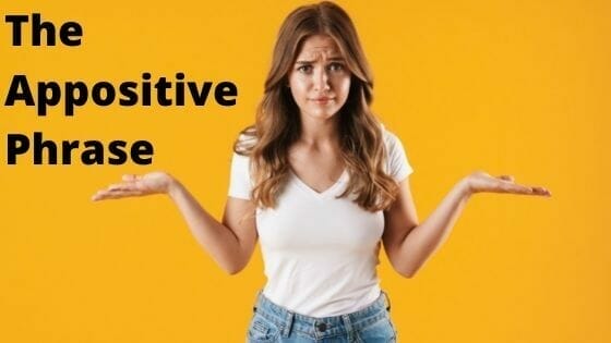 What Is An Appositive And Appositive Phrase