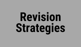 Revision Strategies 