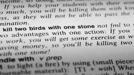 To Kill Two Birds With One Stone: Meaning and Examples of This Common