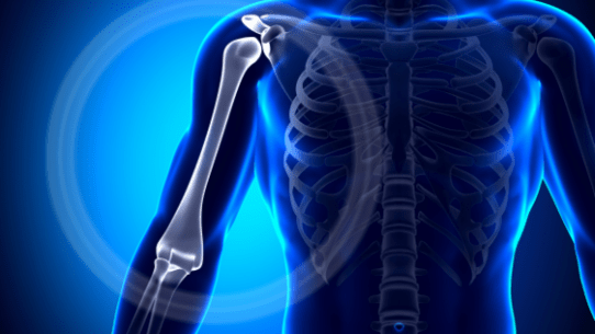 humerus-vs-humorous-here-s-the-difference-in-meaning-with-sentence